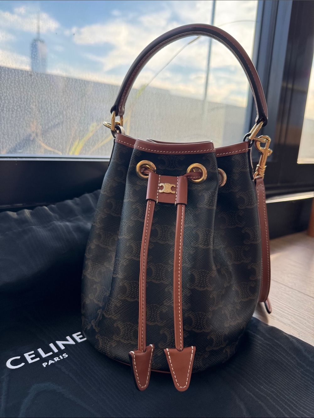 Celine Women's Clara Crossbody Handbag in Triomphe Canvas and Leather